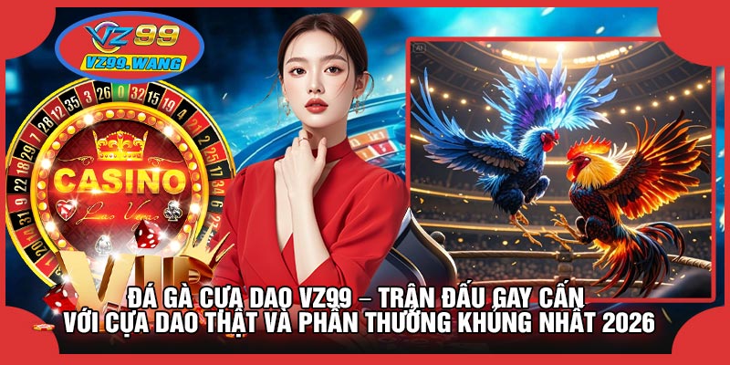 Đá Gà Cựa Dao VZ99 – Trận Đấu Gay Cấn Với Cựa Dao Thật Và Phần Thưởng Khủng Nhất 2026