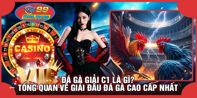 Đá Gà Giải C1 Là Gì? Tổng Quan Về Giải Đấu Đá Gà Cao Cấp Nhất