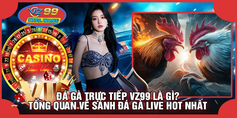 Đá Gà Trực Tiếp VZ99 Là Gì? Tổng Quan Về Sảnh Đá Gà Live Hot Nhất