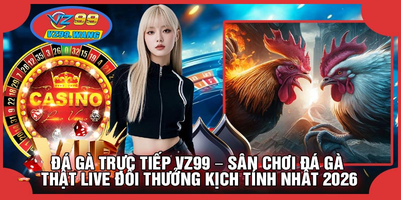 Đá Gà Trực Tiếp VZ99 – Sân Chơi Đá Gà Thật Live Đổi Thưởng Kịch Tính Nhất 2026