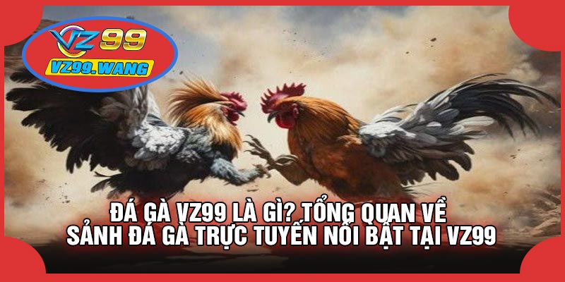 Đá Gà VZ99 Là Gì? Tổng Quan Về Sảnh Đá Gà Trực Tuyến Nổi Bật Tại VZ99