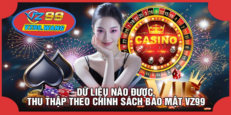 Dữ Liệu Nào Được Thu Thập Theo Chính Sách Bảo Mật VZ99