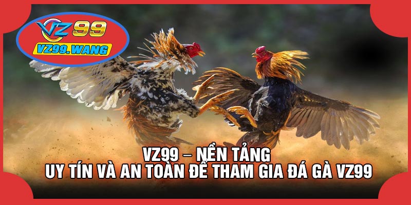 VZ99 – Nền Tảng Uy Tín Và An Toàn Để Tham Gia Đá Gà VZ99